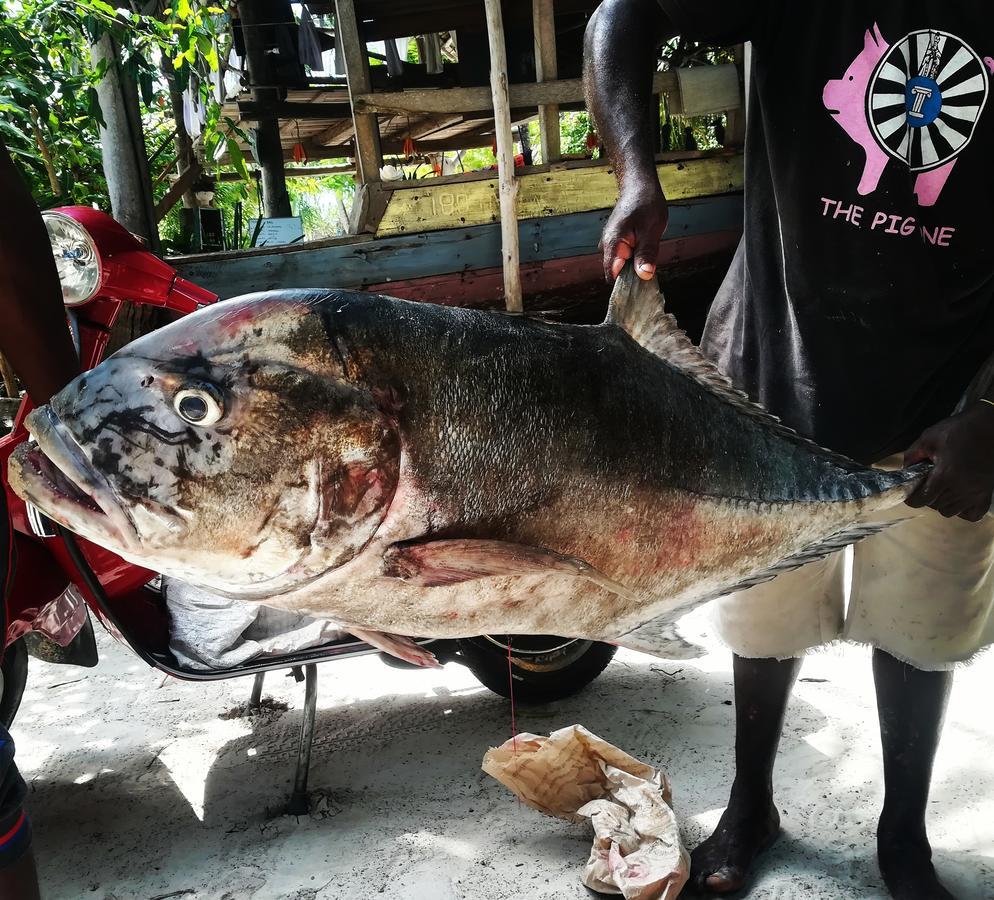 فندق Michamviفي  Kae Funk Zanzibar المظهر الخارجي الصورة